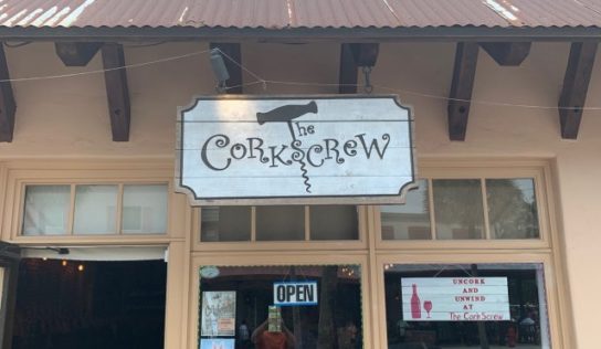 Paint & Sip at The Corkscrew Winery