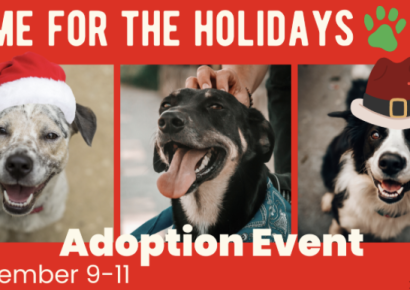 Home for the Holidays adoption event this weekend