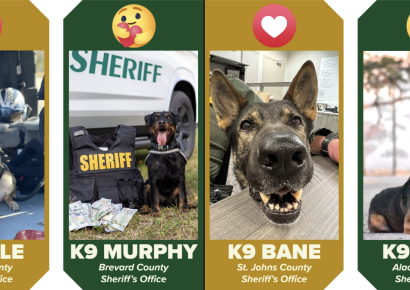 The K9 March Madness Tournament moves on to round 2