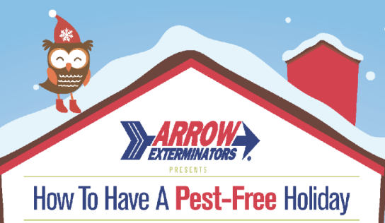 Keep Your Holidays Pest-Free This Year