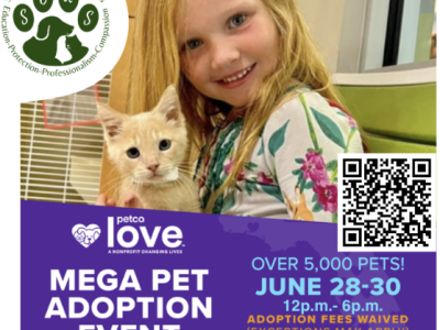 Mega adoption event this weekend